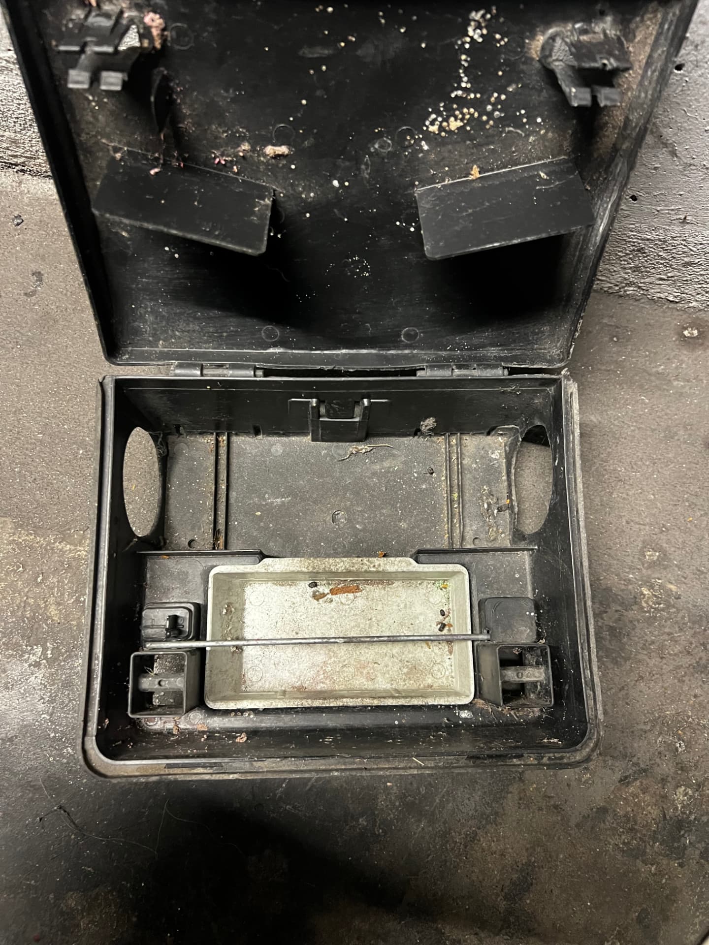 Poste d'appâtage ouvert lors d'une visite de contrôle de dératisation en sous-sol
