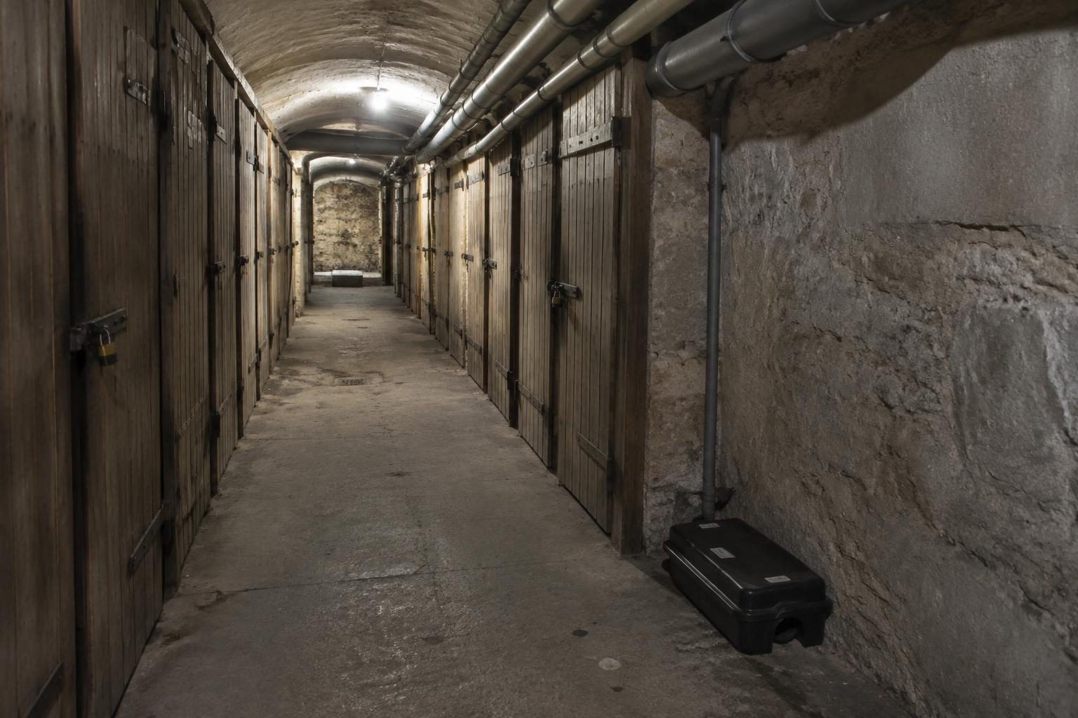 cave d'immeuble haussmannien parisien traitée contre les rats