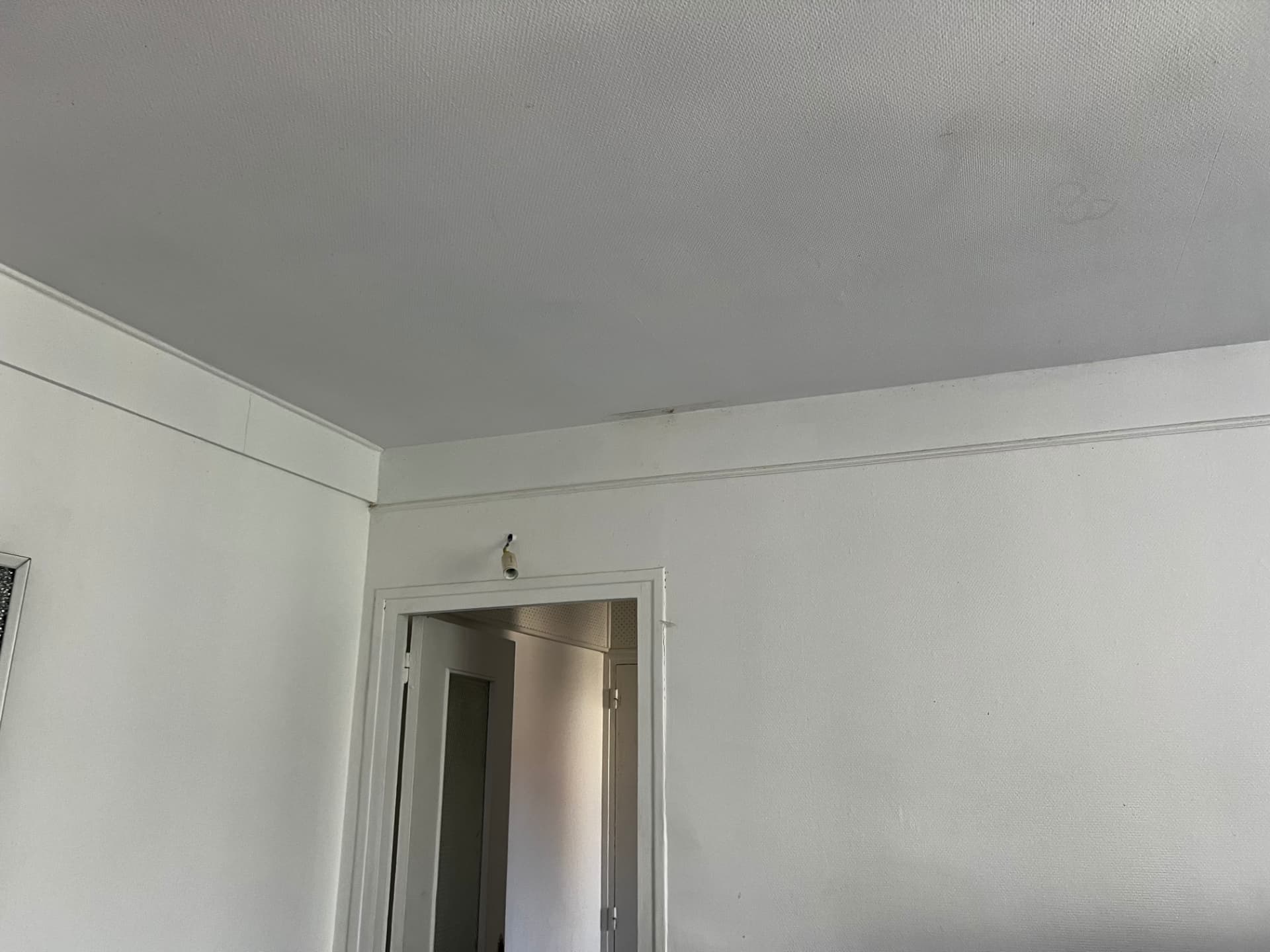 Murs et plafond d'un logement propres et sans insectes après désinsectisation complète