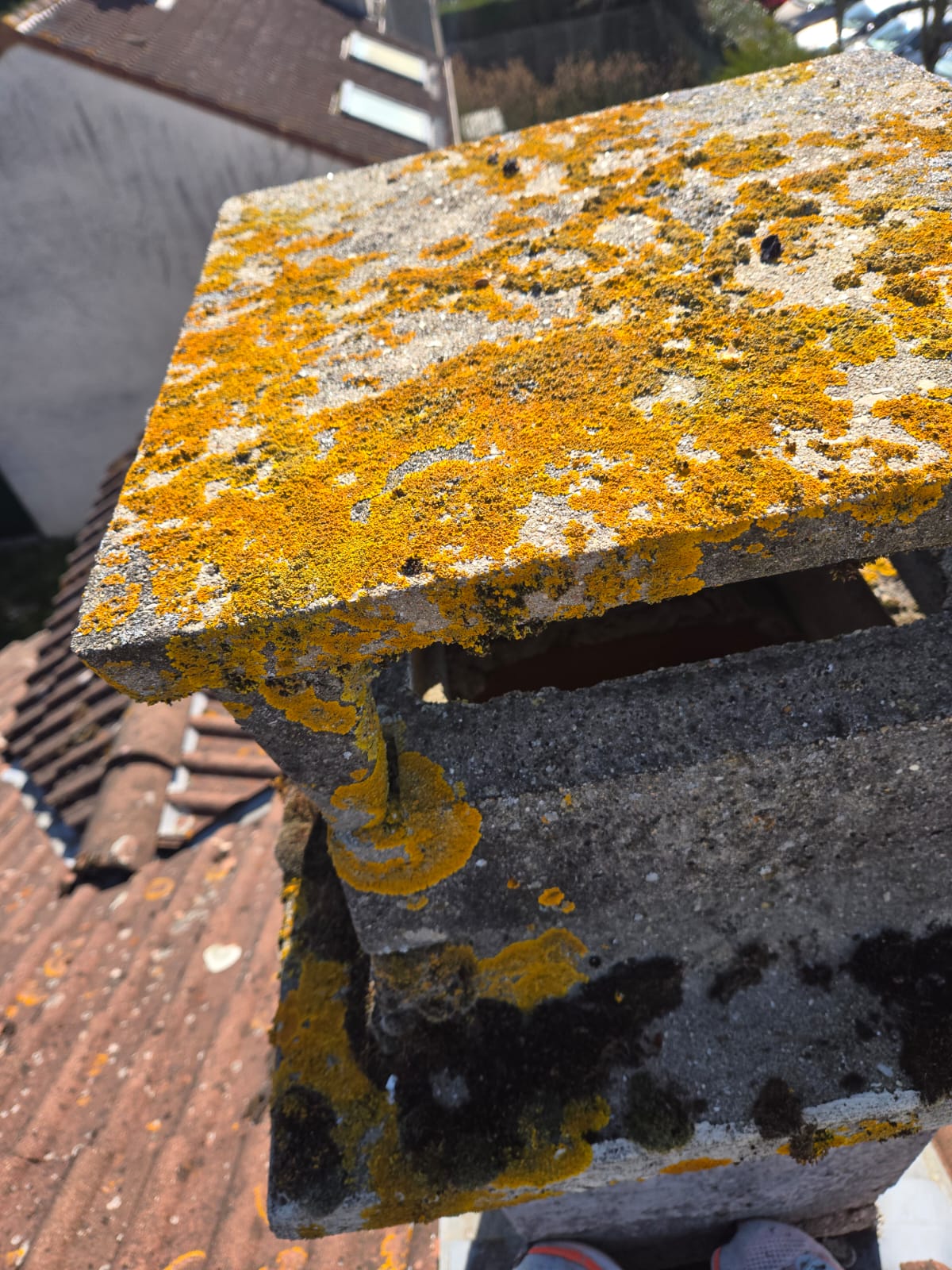 Souche de cheminée en béton couverte de lichens jaunes avant démoussage de toiture