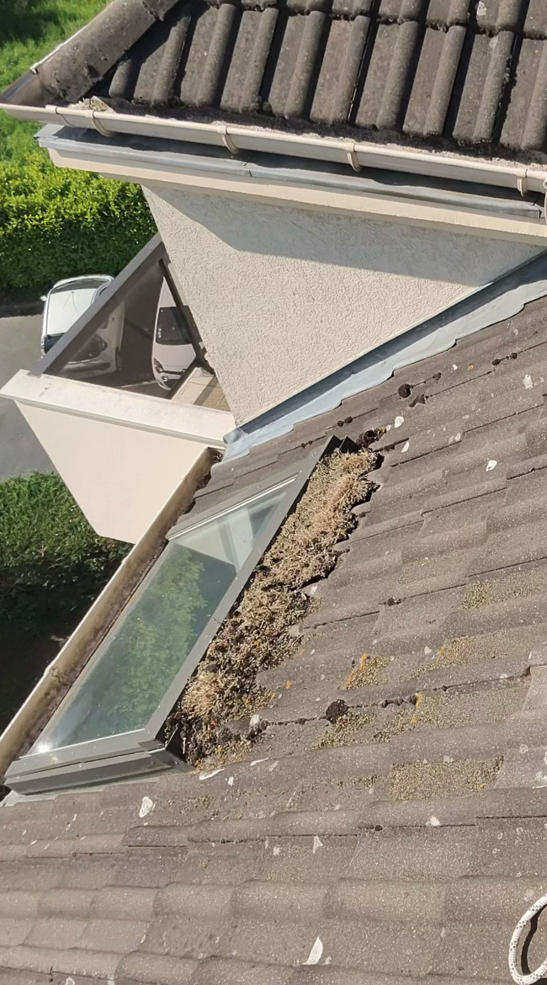 Mousses et débris accumulés autour d'une fenêtre de toit avant démoussage