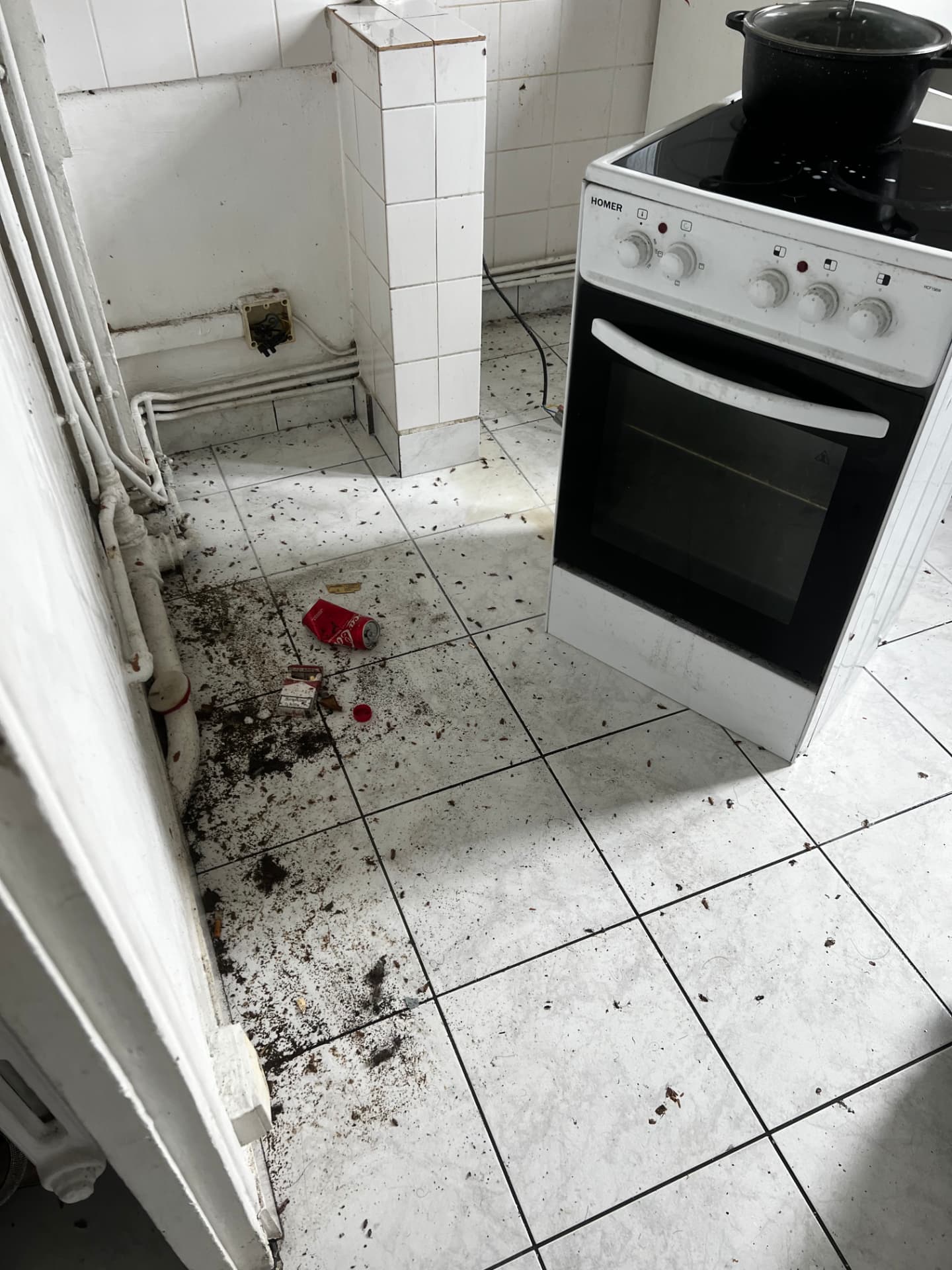 Sol de cuisine jonché de cafards et de déjections avant désinsectisation d'urgence