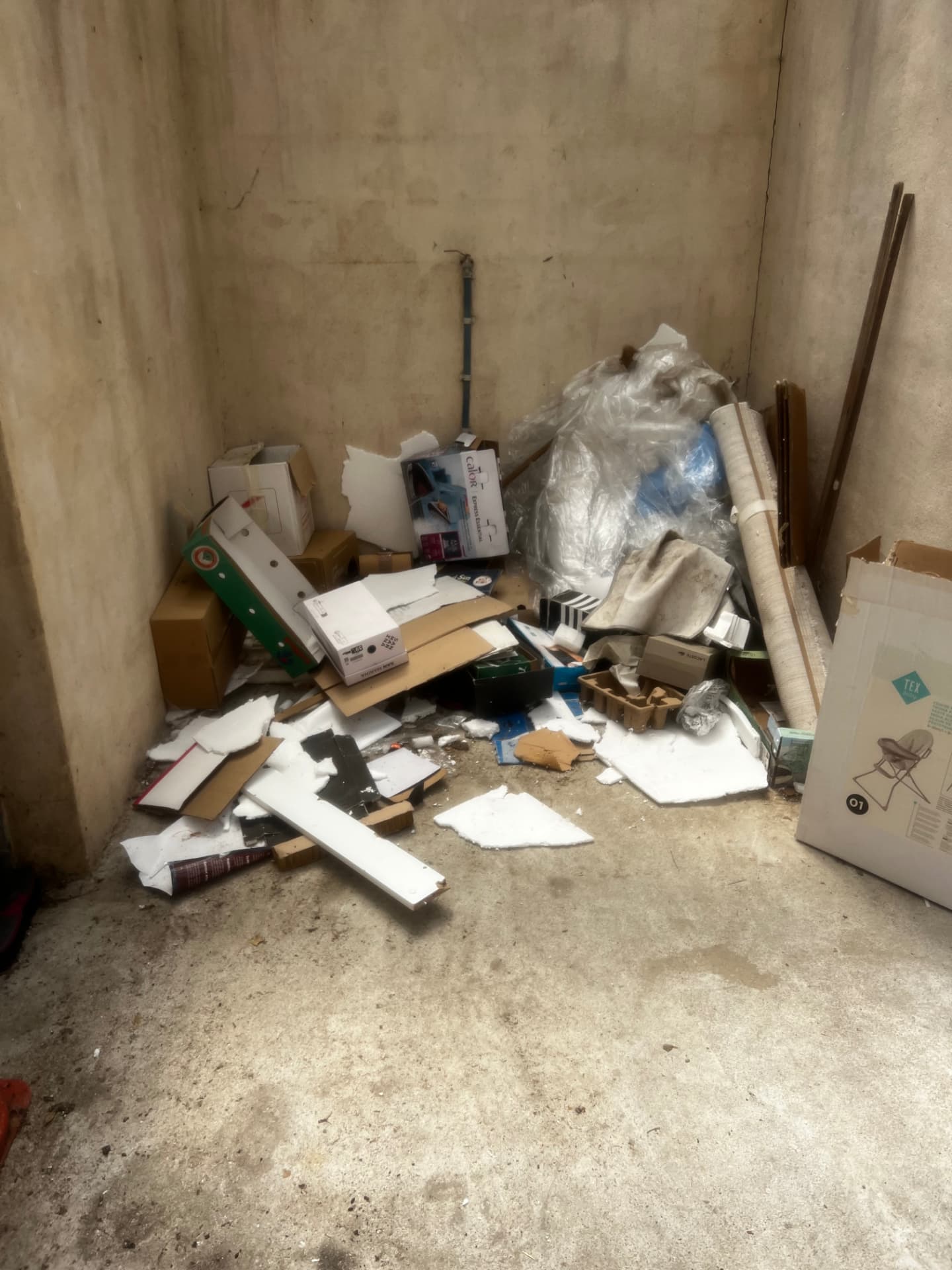 Local poubelles rempli de cartons et déchets favorisant les rongeurs et les cafards